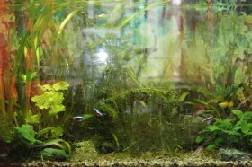 Pause und Erholung_034